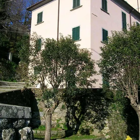 Il Noce Marciana (Isola d'Elba)