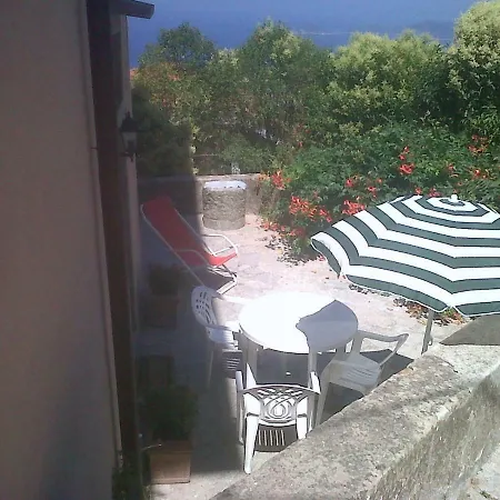 Il Noce