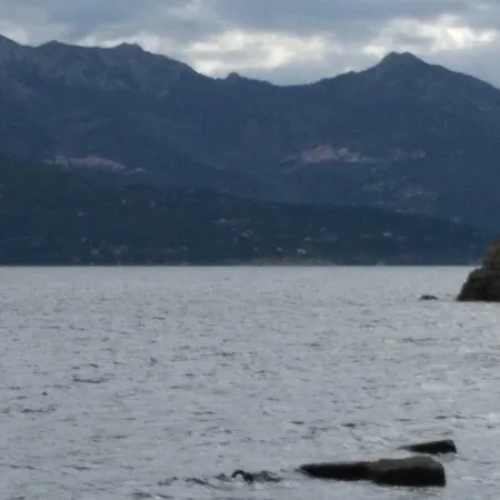 Il Noce